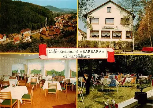 AK / Ansichtskarte  Steina_Suedharz Fliegeraufnahme Cafe Restaurant Barbara Gastraeume Gartenterrasse Steina Suedharz