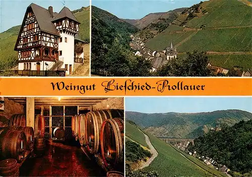 AK / Ansichtskarte 73903449 Bacharach_Rhein Weingut Lieschied Prollauer Weinkeller Panorama Steeger Tal Bacharach Rhein
