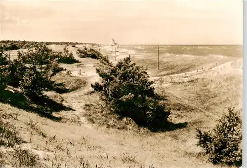 AK / Ansichtskarte  Neuhaus_Dierhagen_Ostseebad Duenen