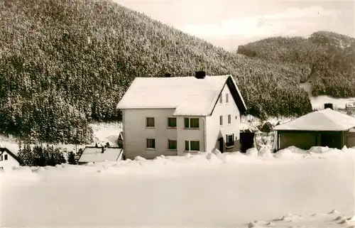 AK / Ansichtskarte  Willingen_Sauerland Haus Schnickmann