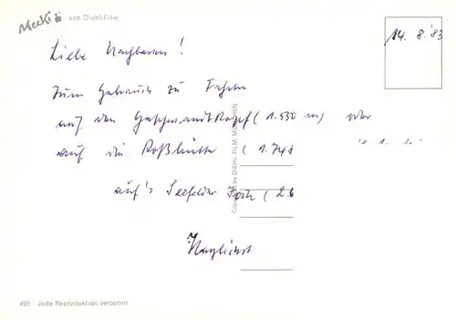 AK / Ansichtskarte  Mecki_Nr. Nr.495 Was kann schoenes sein?