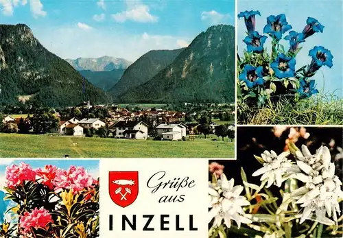 AK / Ansichtskarte 73904316 Inzell Panorama Alpenflora