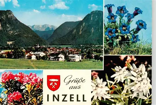 AK / Ansichtskarte 73904320 Inzell Panorama Alpenflora