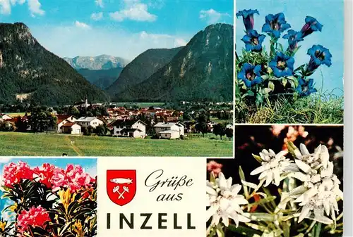 AK / Ansichtskarte  Inzell Panorama Alpenflora