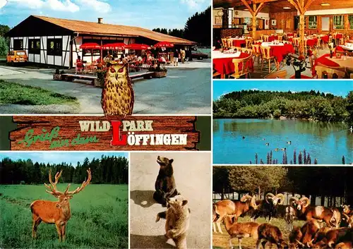 AK / Ansichtskarte 73904326 Loeffingen Wildpark Loeffingen Restaurant Seepartie