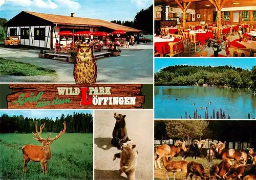 AK / Ansichtskarte  Loeffingen Wildpark Loeffingen Restaurant Seepartie