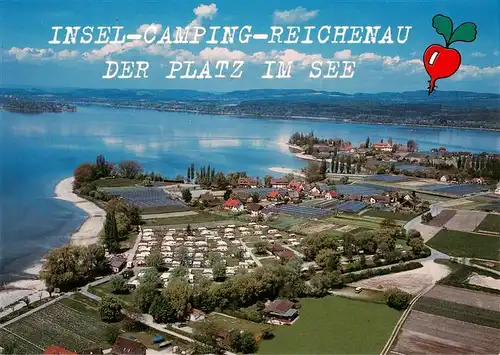 AK / Ansichtskarte 73904402 Reichenau_Bodensee Insel Camping Platz Fliegeraufnahme