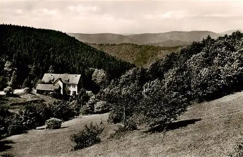 AK / Ansichtskarte  Hohegeiss_Harz Waldhotel Dicke Tannen Landschaftspanorama Waelder