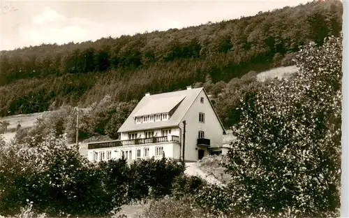 AK / Ansichtskarte  Willingen_Sauerland Hotel Pension Laerchenhof