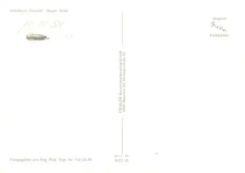 AK / Ansichtskarte  Zwiesel__Niederbayern Panorama Bayerischer Wald