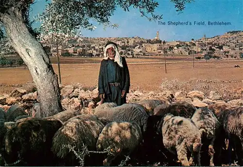 AK / Ansichtskarte  Bethlehem__Yerushalayim_Israel The Shepherds Field