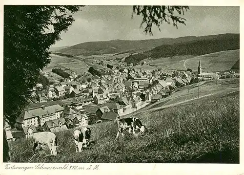 AK / Ansichtskarte  Furtwangen Panorama