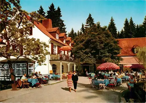 AK / Ansichtskarte 73904962 Leopoldstal_Lippe Waldhotel Pension Silbermuehle Freiterrasse