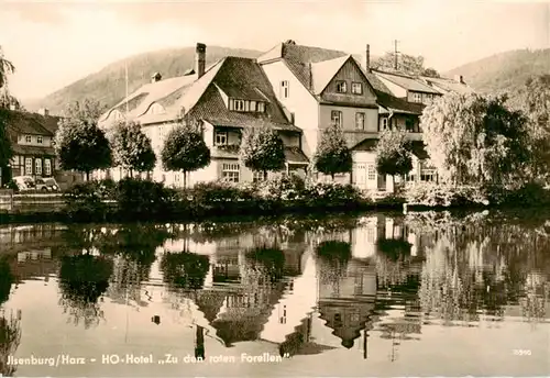 AK / Ansichtskarte  Ilsenburg_Harz HO Hotel Zu den roten Forellen