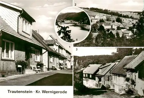 AK / Ansichtskarte  Trautenstein_Harz Pochrichstrasse Teilansicht Bergstrasse Blick von der Trageburg