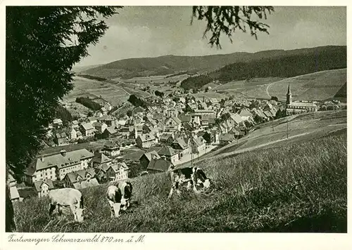 AK / Ansichtskarte  Furtwangen Panorama