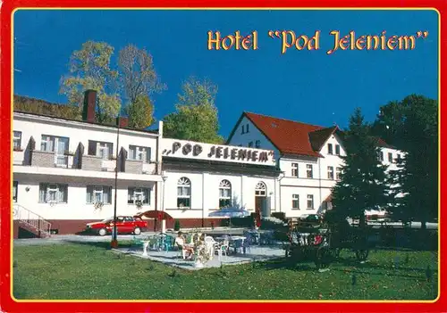 AK / Ansichtskarte  Swieradow_Zdroj_Bad_Flinsberg_PL Hotel Pod Jeleniem