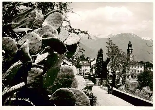 AK / Ansichtskarte  Ascona_Lago_Maggiore_TI Teilansicht