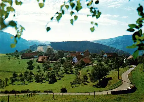 AK / Ansichtskarte  Schwand_Tegernau Pension Gasthof Sennhuette Panorama