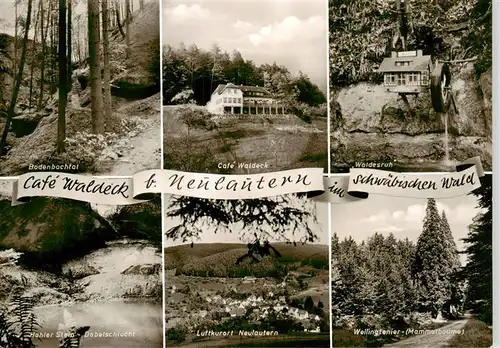 AK / Ansichtskarte  Neulautern Cafe Waldeck Bodenbachtal Waldesruh Hohler Stein Dabeischlucht Panorama Wellingtonier Mammutbaeume