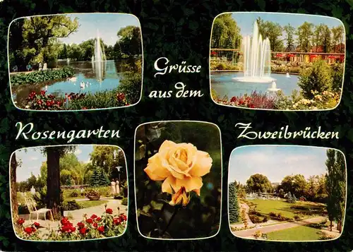AK / Ansichtskarte 73906042 Zweibruecken_Pfalz Rosengarten Teilansichten