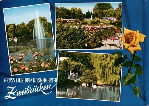 AK / Ansichtskarte 73906052 Zweibruecken_Pfalz Rosengarten Fontaene Park Schwanenteich