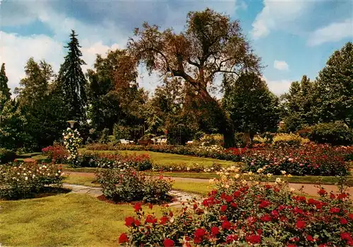 AK / Ansichtskarte  Zweibruecken_Pfalz Rosengarten