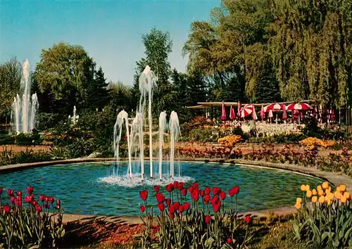 AK / Ansichtskarte 73906063 Zweibruecken_Pfalz Rosengarten Springbrunnen Tulpenbluete