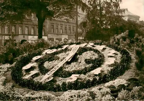 AK / Ansichtskarte  Goerlitz__Sachsen Blumenuhr