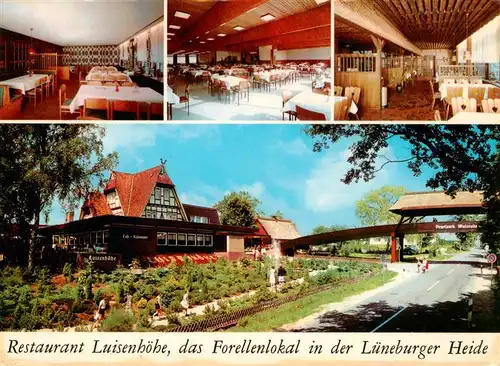 AK / Ansichtskarte 73906298 Walsrode_Lueneburger_Heide Restaurant Luisenhoehe Forellenbad in der Lueneburger Heide Restaurant Luisenhoehe Gastraeume