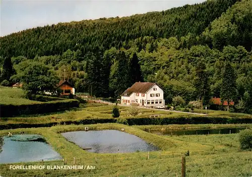 AK / Ansichtskarte  Blankenheim_Ahr Forellenzucht Zaunegger Restaurant Forellenhof