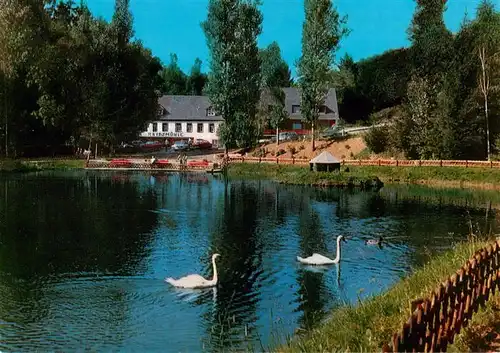 AK / Ansichtskarte 73906314 Manderscheid_Eifel Hotel Café Heidsmuehle Partie im Hotelgarten Schwanenteich