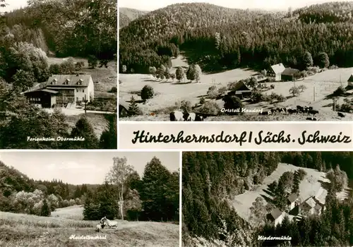 AK / Ansichtskarte  Hinterhermsdorf Ferienheim Obermuehle Heidelbachtal OT Neuendorf Niedermuehle