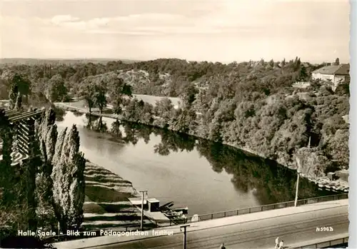 AK / Ansichtskarte  Halle__Saale Blick zum Paedagogischen Institut