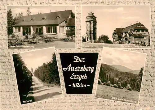 AK / Ansichtskarte  Wildenthal_Eibenstock HO-Selbstbedienung Turm- und Berghaus Panorama Blick zum Auersberg