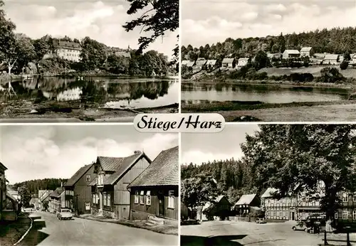 AK / Ansichtskarte  Stiege_Harz Panorama Gondelteich Strassenpartien