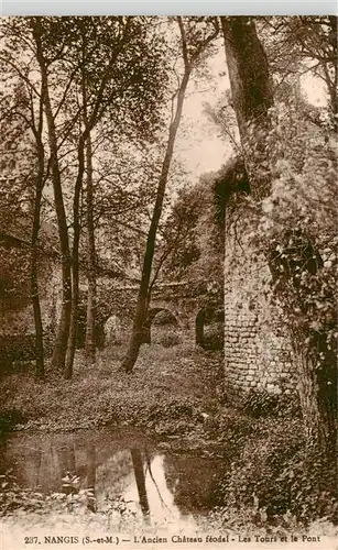 AK / Ansichtskarte  Nangis_77_Seine-et-Marne Ancien Chateau feodal Les Tours et la Pont