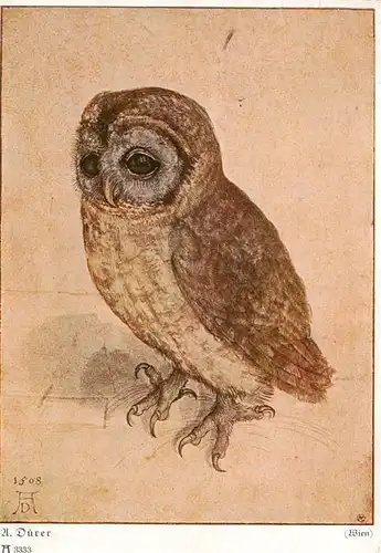 AK / Ansichtskarte  Eule_Owl_Hibou AD NR. 1508 