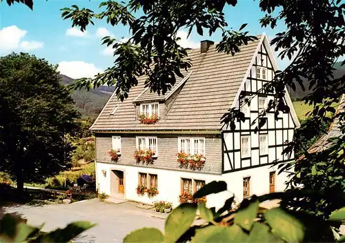 AK / Ansichtskarte  Schmallenberg Pension Schauerle Wulf