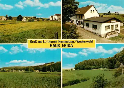 AK / Ansichtskarte  Hemmelzen Gaststaette Pension Haus Erika Panorama