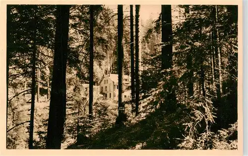 AK / Ansichtskarte  Gerardmer_88_Vosges La Foret a lHotel du Saut des Cuves