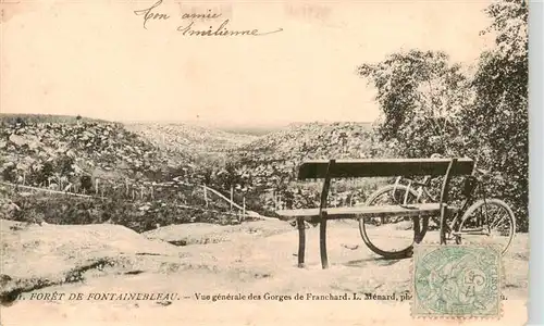 AK / Ansichtskarte  Fontainebleau_77_Seine_et_Marne Vue generale des Georges de Franchard