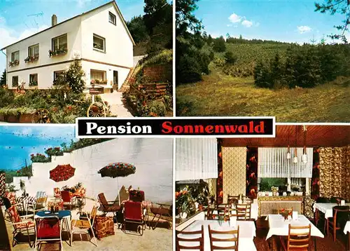 AK / Ansichtskarte  Bottendorf_Frankenberg_Eder Pension Sonnenwald Gaststube Terrasse Panorama