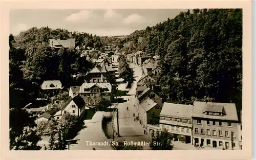 AK / Ansichtskarte  Tharandt Rossmaessler Strasse