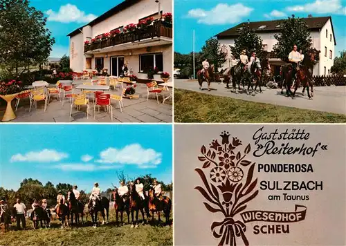 AK / Ansichtskarte  Sulzbach_Taunus Gaststaette Reiterhof Wiesenhof Ponderosa Terrasse Ausritte