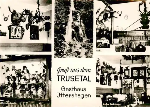 AK / Ansichtskarte  Trusetal Gasthaus Ittershagen Jagdzimmer Wasserfall Eichhoernchenkapelle Grosses Jagdzimmer