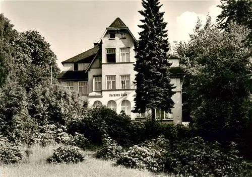 AK / Ansichtskarte  Bad_Elster Haus Sachsengruen