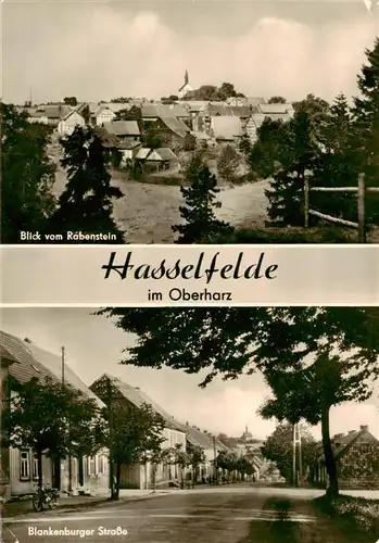 AK / Ansichtskarte  Hasselfelde Panorama Blick vom Rabenstein Blankenburger Strasse