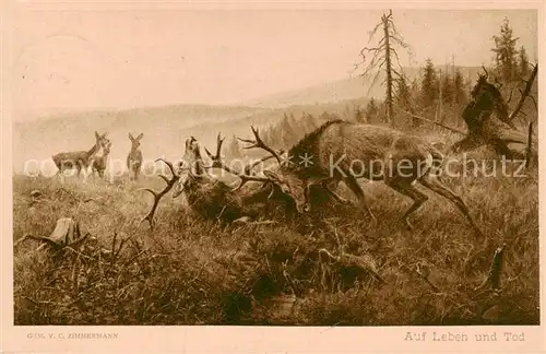 AK / Ansichtskarte  Reh Gem.V.C. Zimmermann Auf Leben und Tod