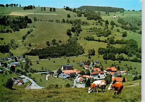 AK / Ansichtskarte  Wieden_Schwarzwald Panorama